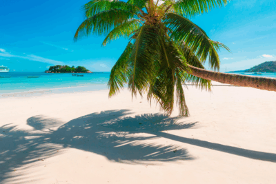 caribe