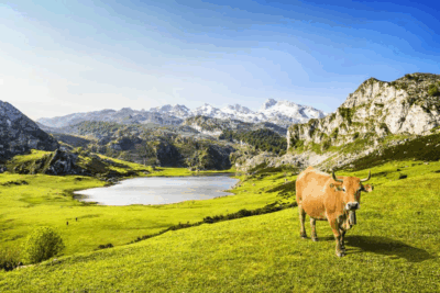 asturias